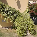 Apartamento Anna's House Solarium Terrace *