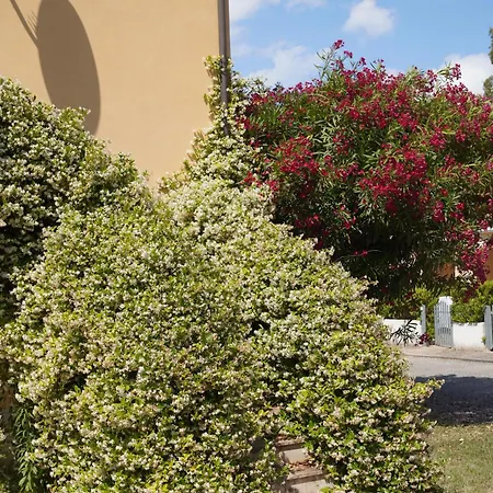 Anna's House Solarium Terrace * Pizzo (Calabria)