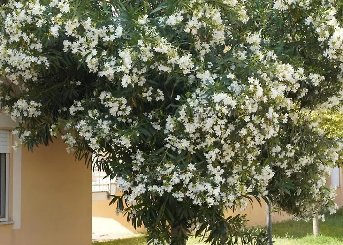 Apartment Anna's House Solarium Terrace