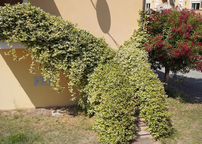 Apartment Anna's House Solarium Terrace *