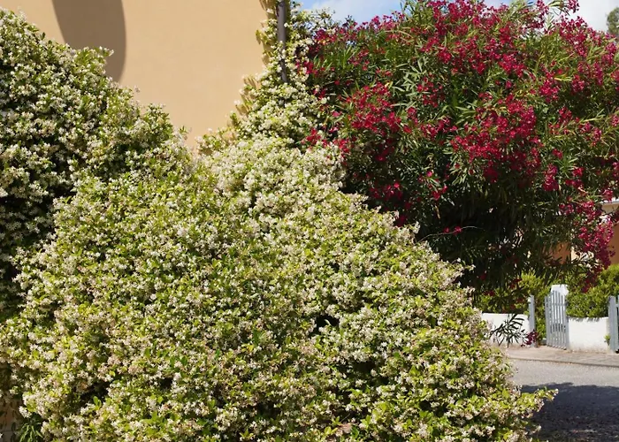 Anna's House Solarium Terrace * Pizzo (Calabria)